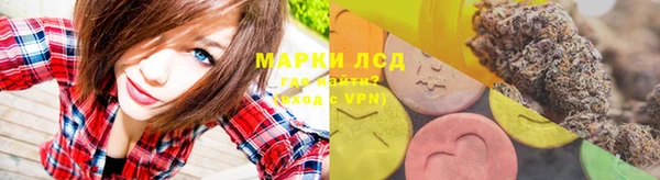 ГАЛЛЮЦИНОГЕННЫЕ ГРИБЫ Покров