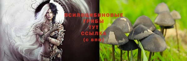 экстази Покачи