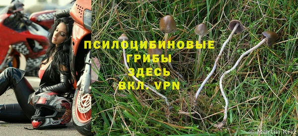 дмт Алексин