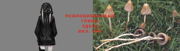 мет Алзамай