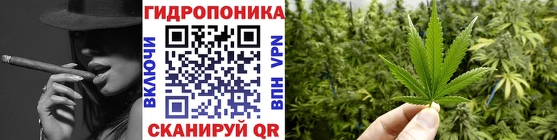 Каннабис AK-47  продажа наркотиков  Бологое 